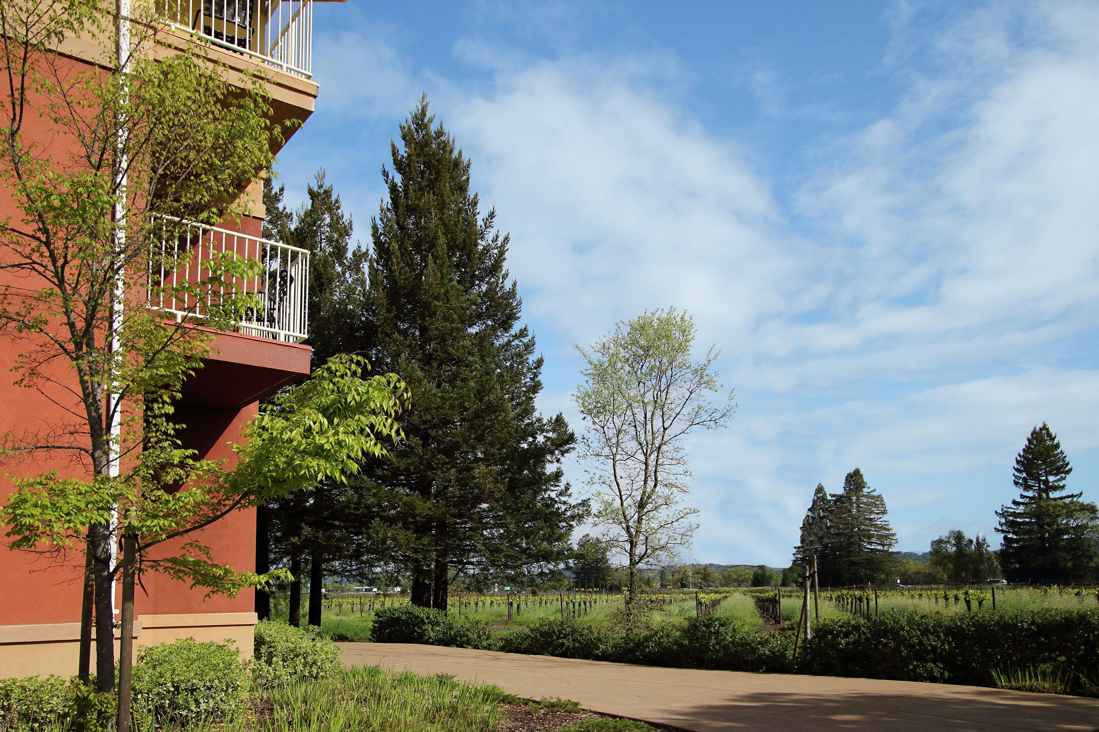 Hilton Garden Inn Sonoma County Airport Santa Rosa Esterno foto